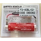 F2-40BL mitsubishi battery 1
