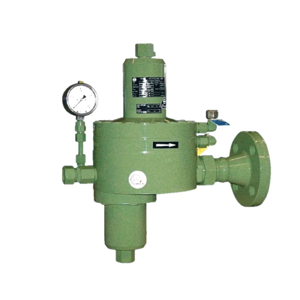 RMG 201 Gas pressure regulator